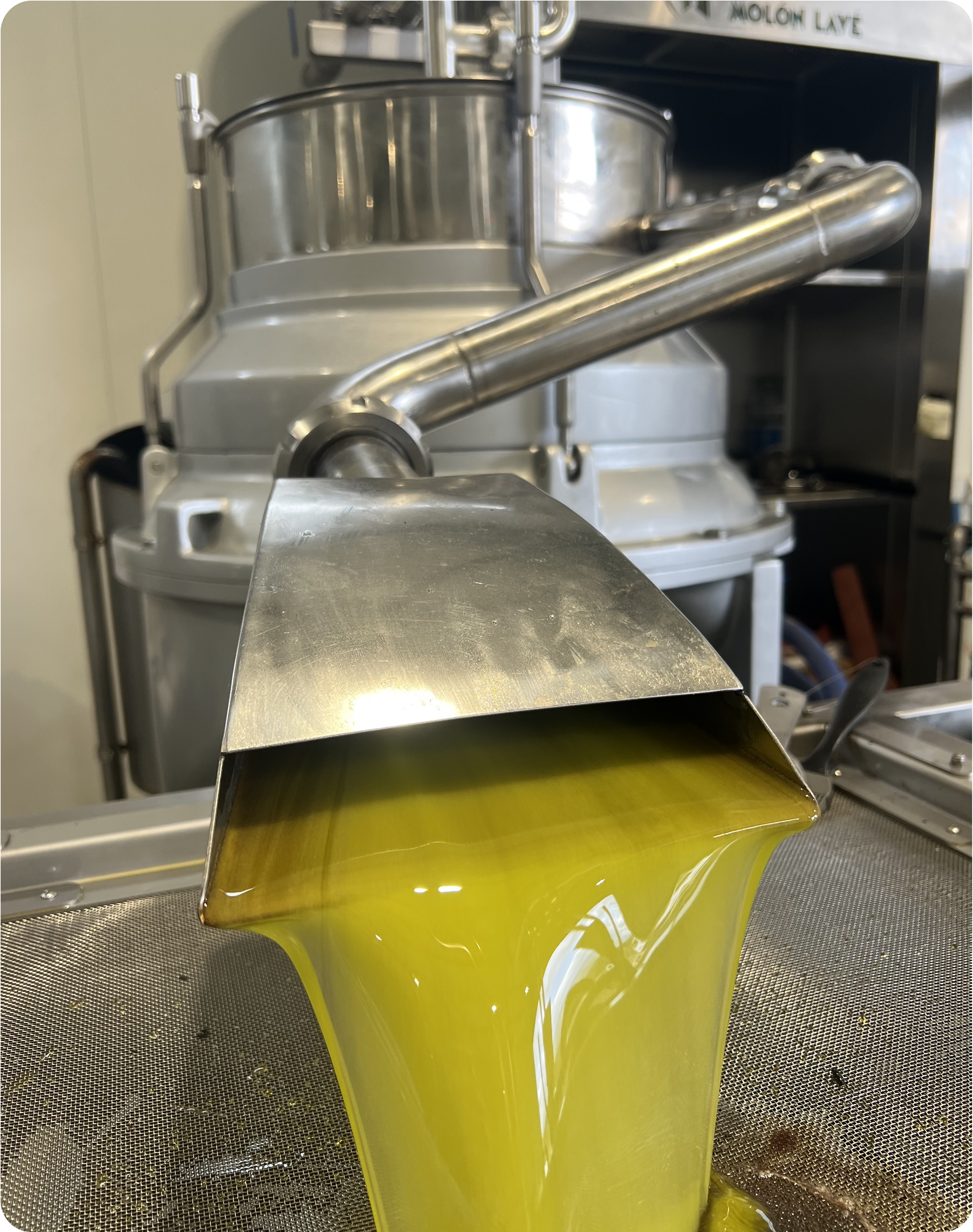 Sourced from a single estate in the sun-drenched groves of Greece, then carefully packaged in a recyclable tin that shields the oil from light and oxidation.