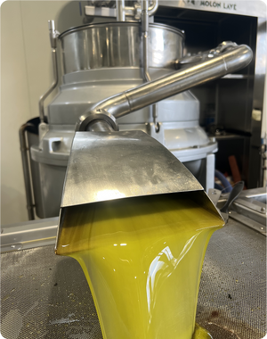 Sourced from a single estate in the sun-drenched groves of Greece, then carefully packaged in a recyclable tin that shields the oil from light and oxidation.