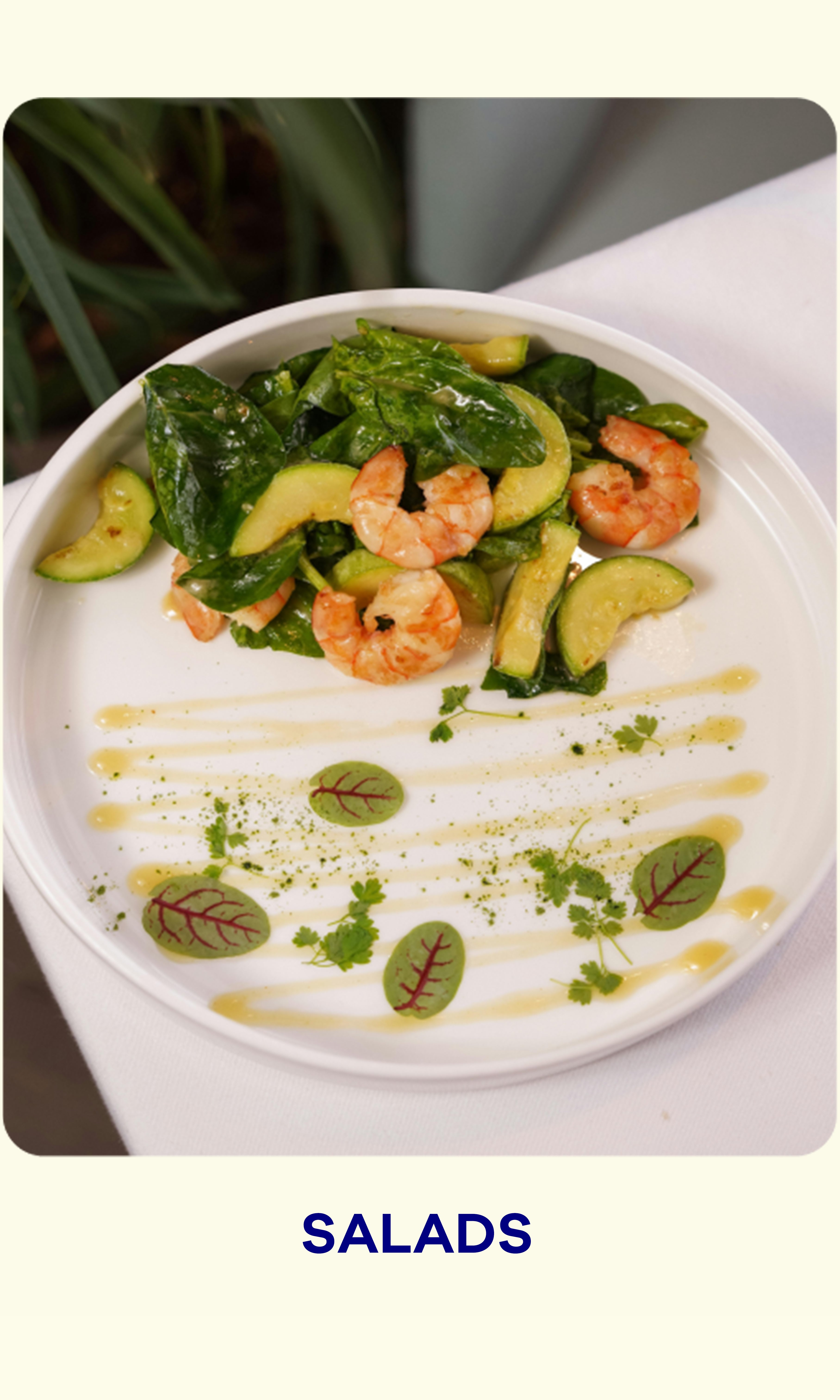 olive oil guy salad