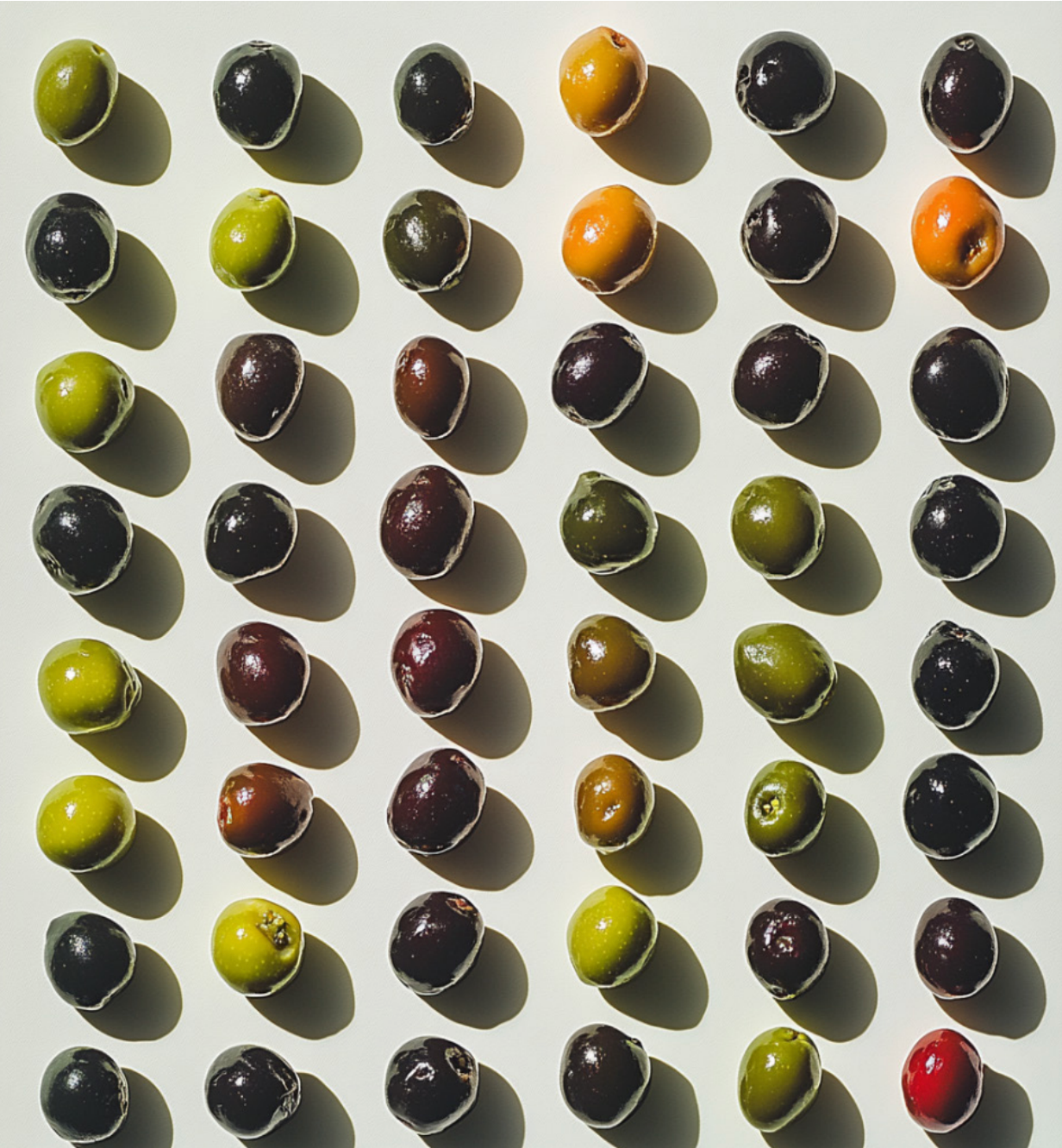 Olive Oil’s 21st Century Glow-Up: From Superfood to Craft Culture