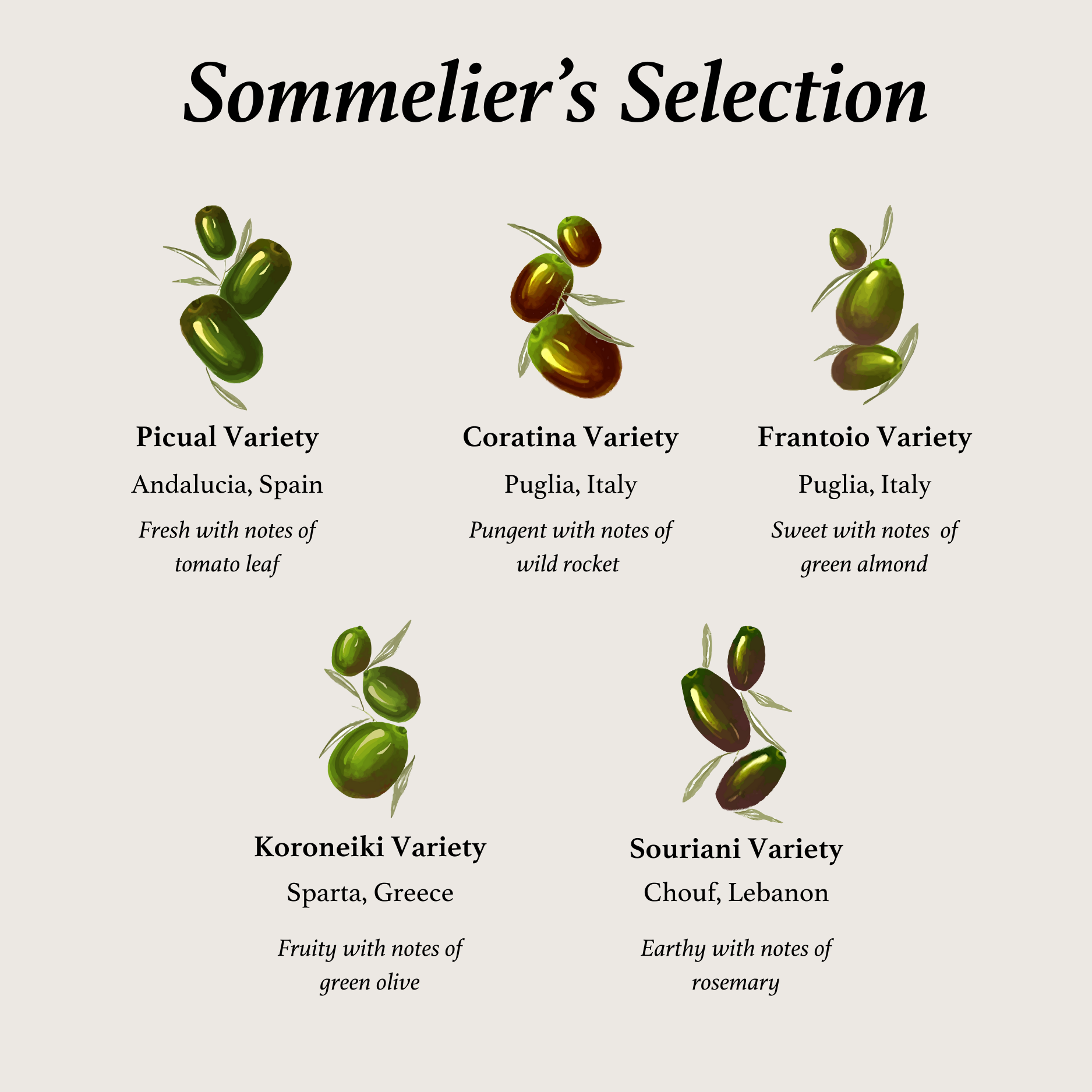 Sommelier’s Selection - Extra Virgin Olive Oil - Mediterranean Gift Set - Box of 4